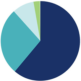 Pie chart in varying blue colors