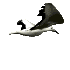 Flying Seagull