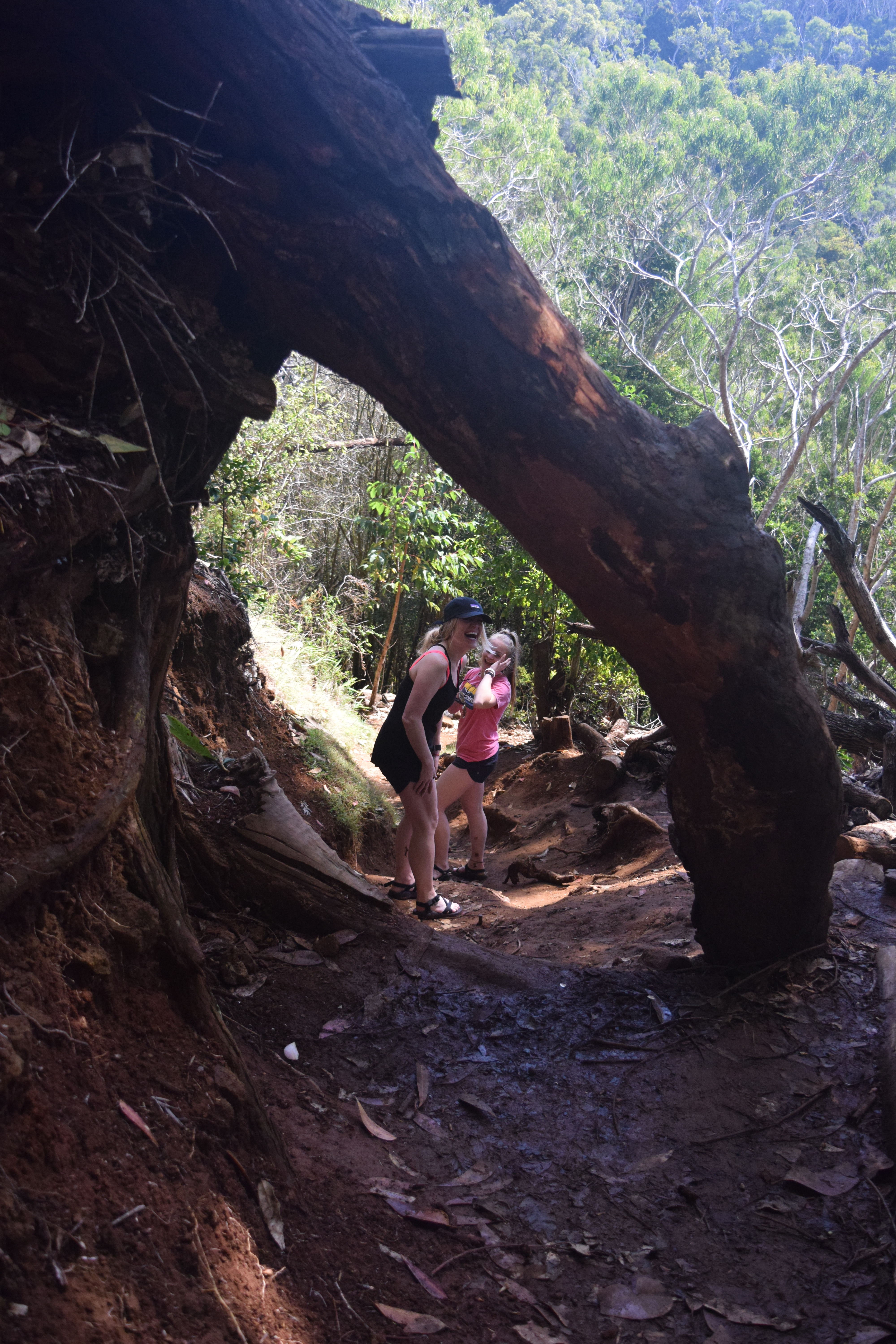 Lots of photo opportunities!