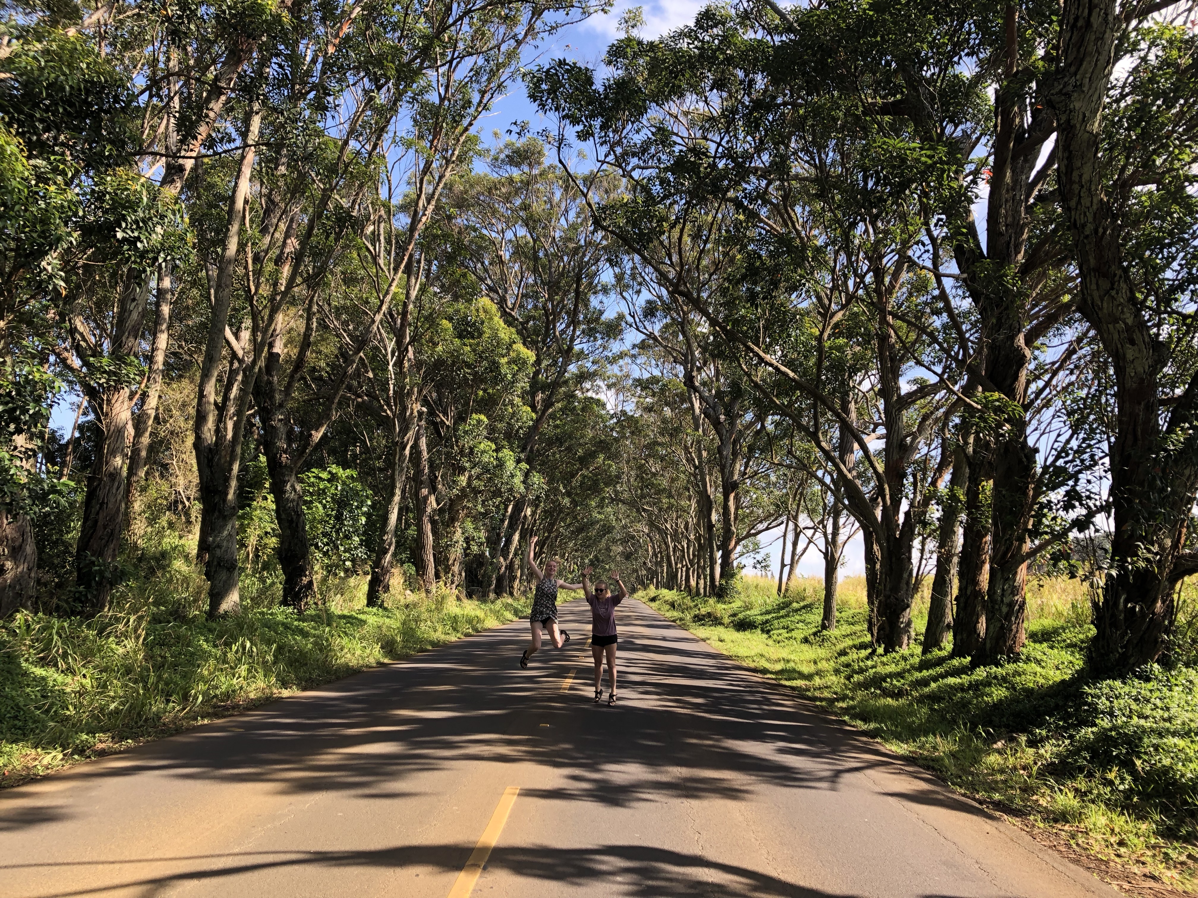 End of the tree tunnel towards the resort