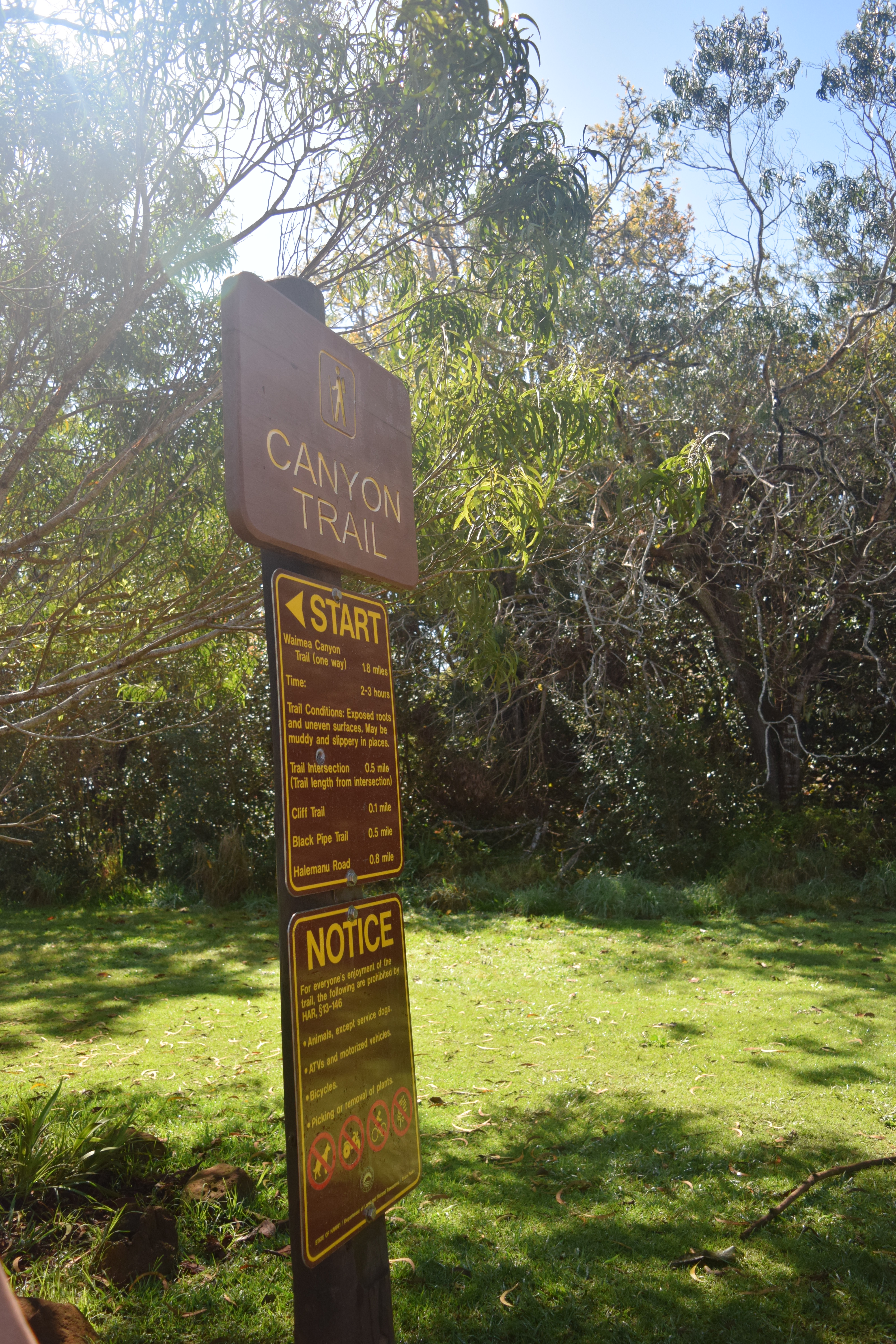 Entrance to the trail