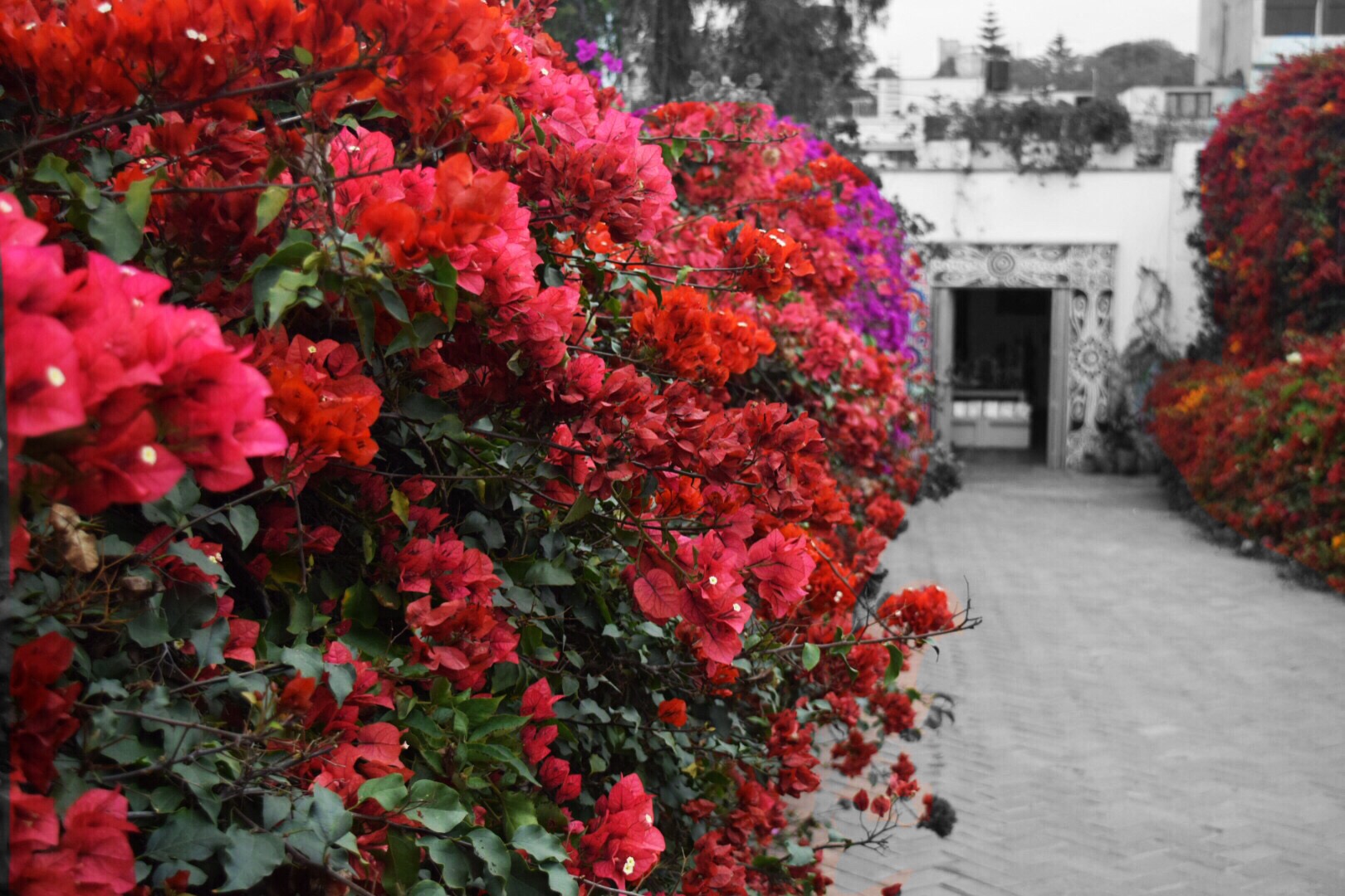 2329B90D-B01A-4F0D-82F0-1C77BDDE14D2