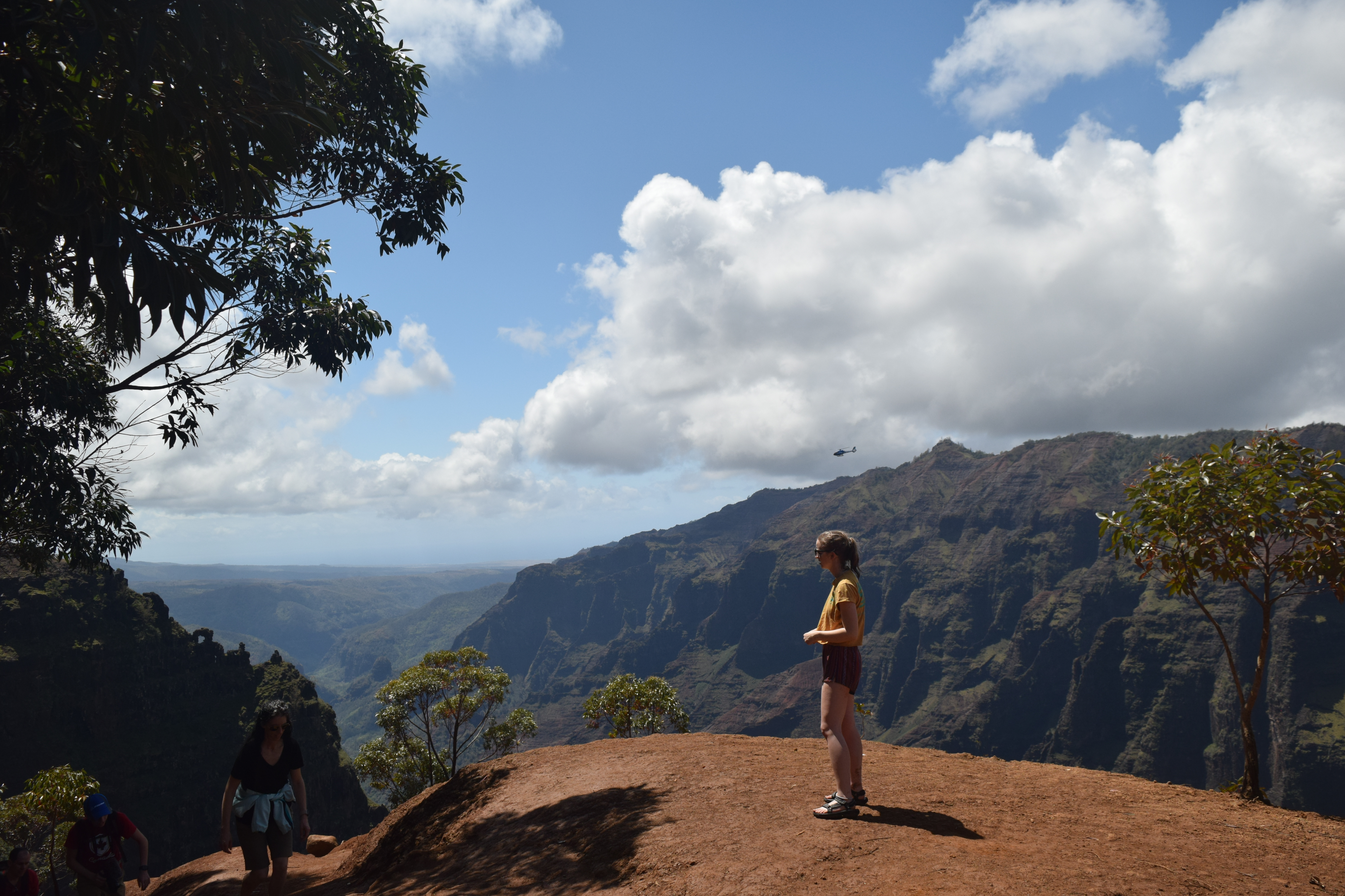 A helicopter in the distance!