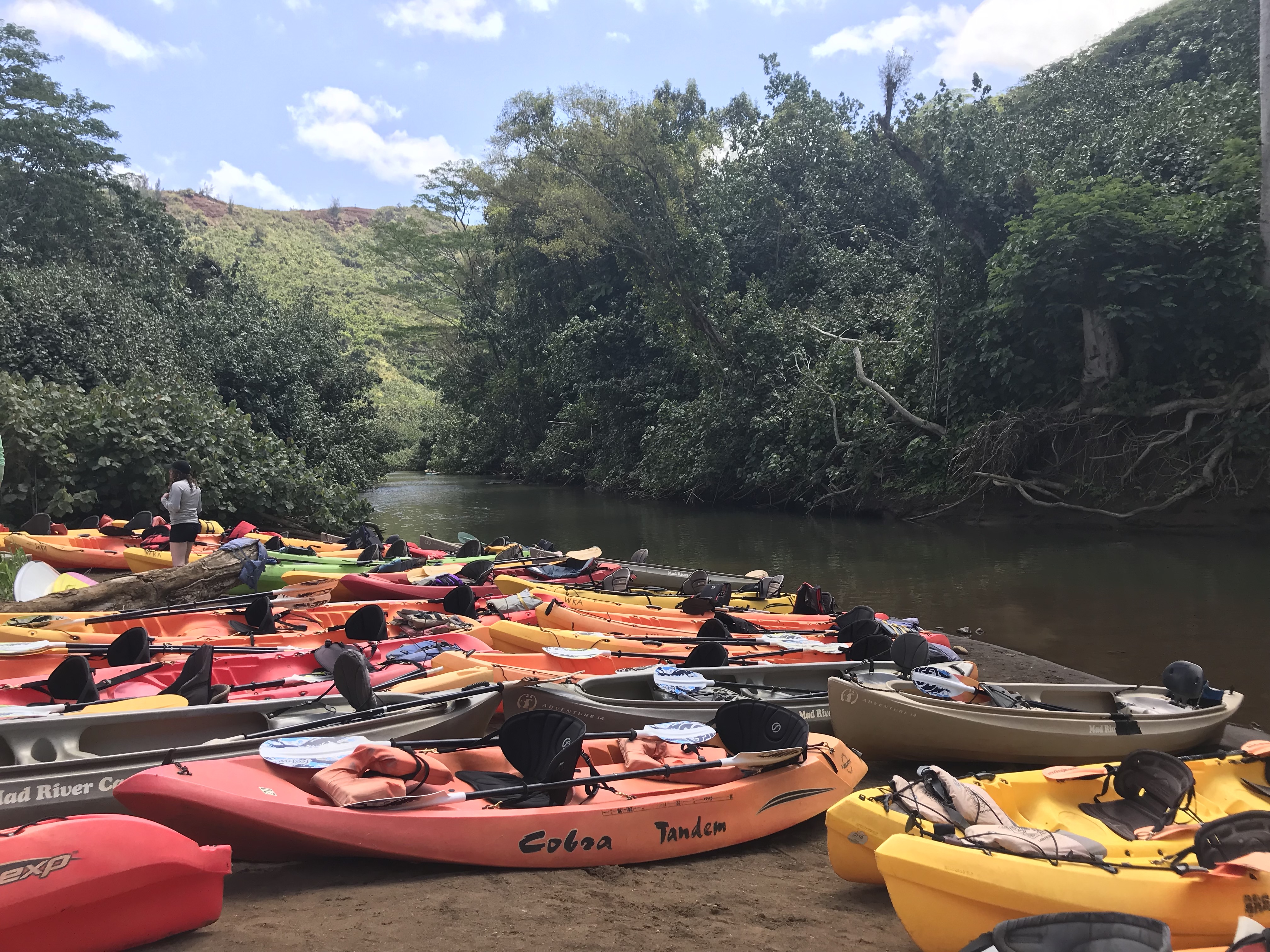 Only a small portion of all the kayaks