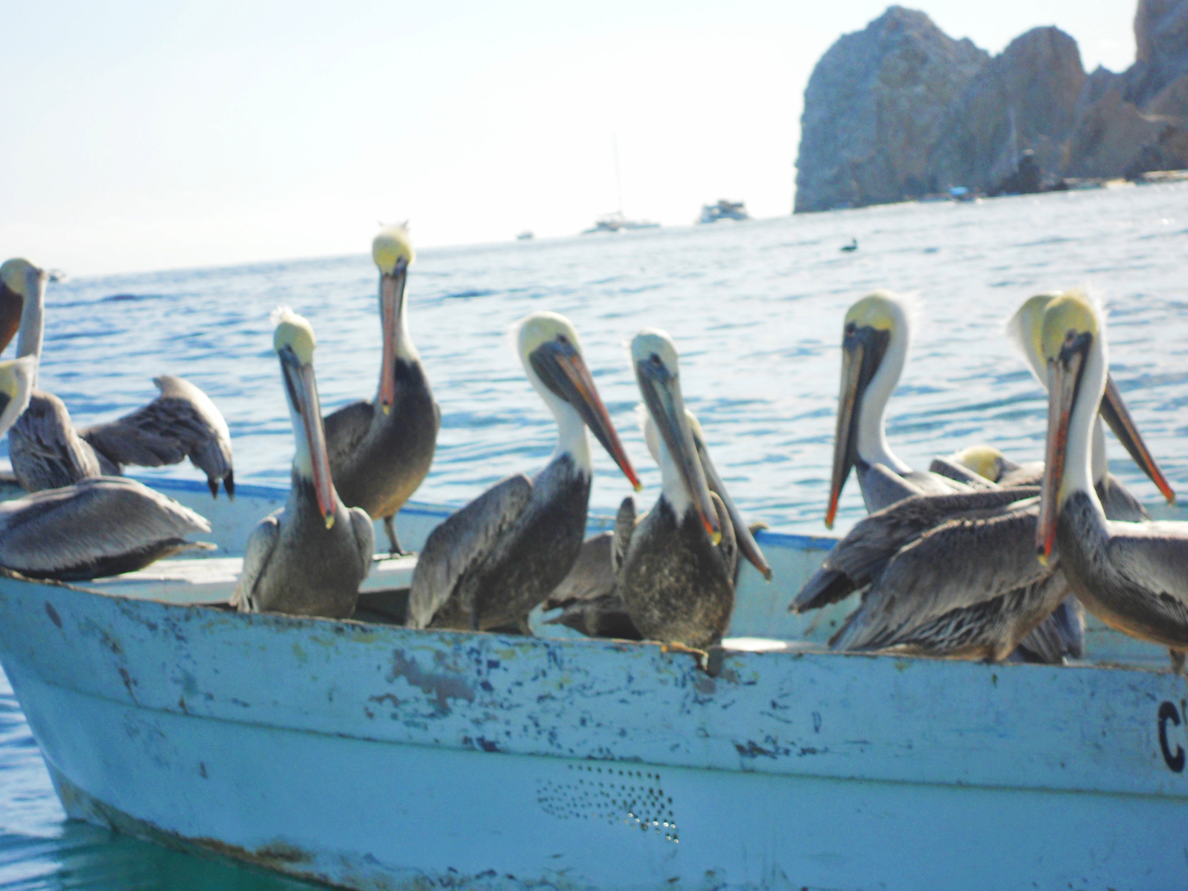 Image 6-11-17 at 2.05 PM.jpg