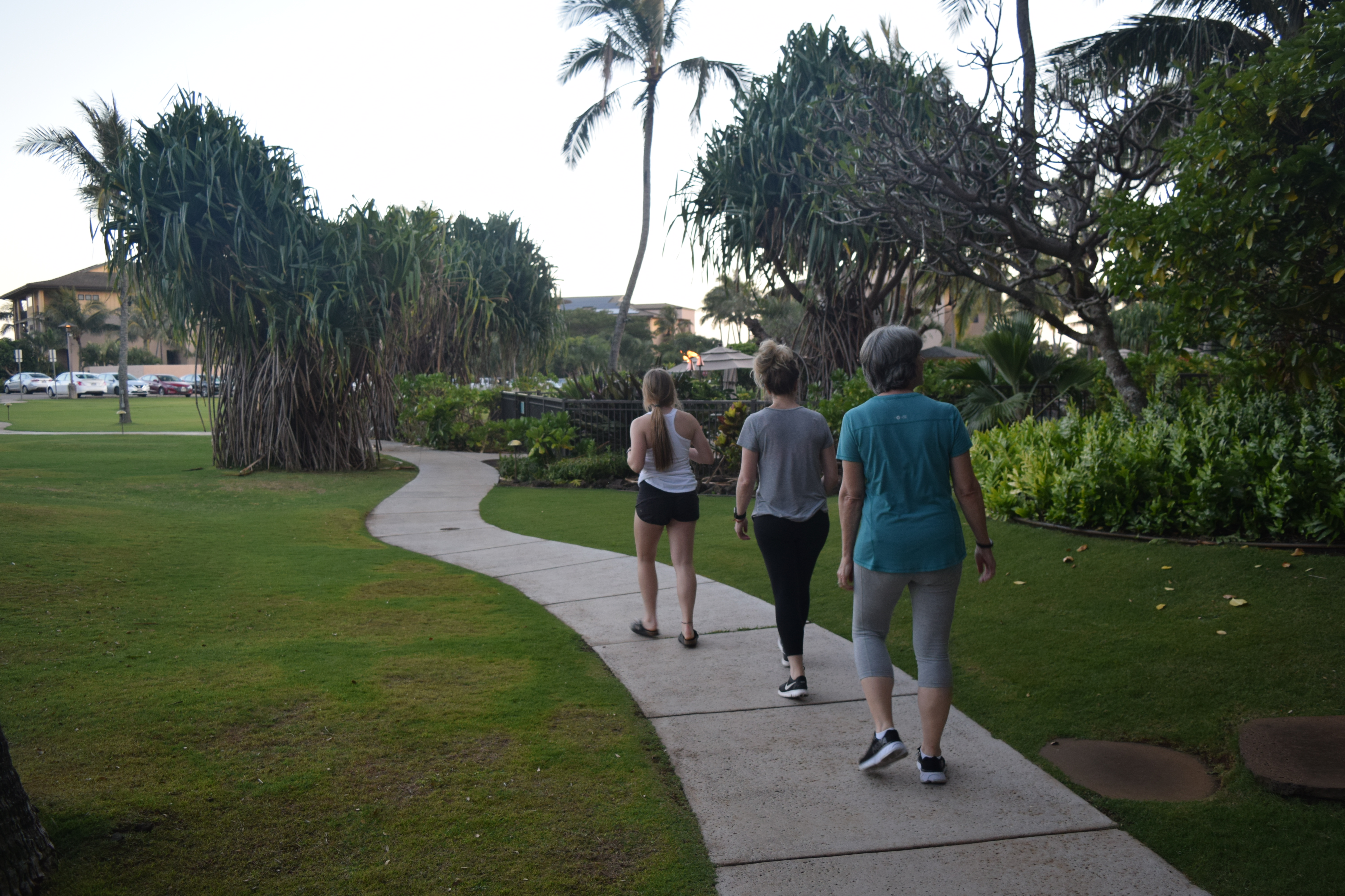 The path outside of the resort