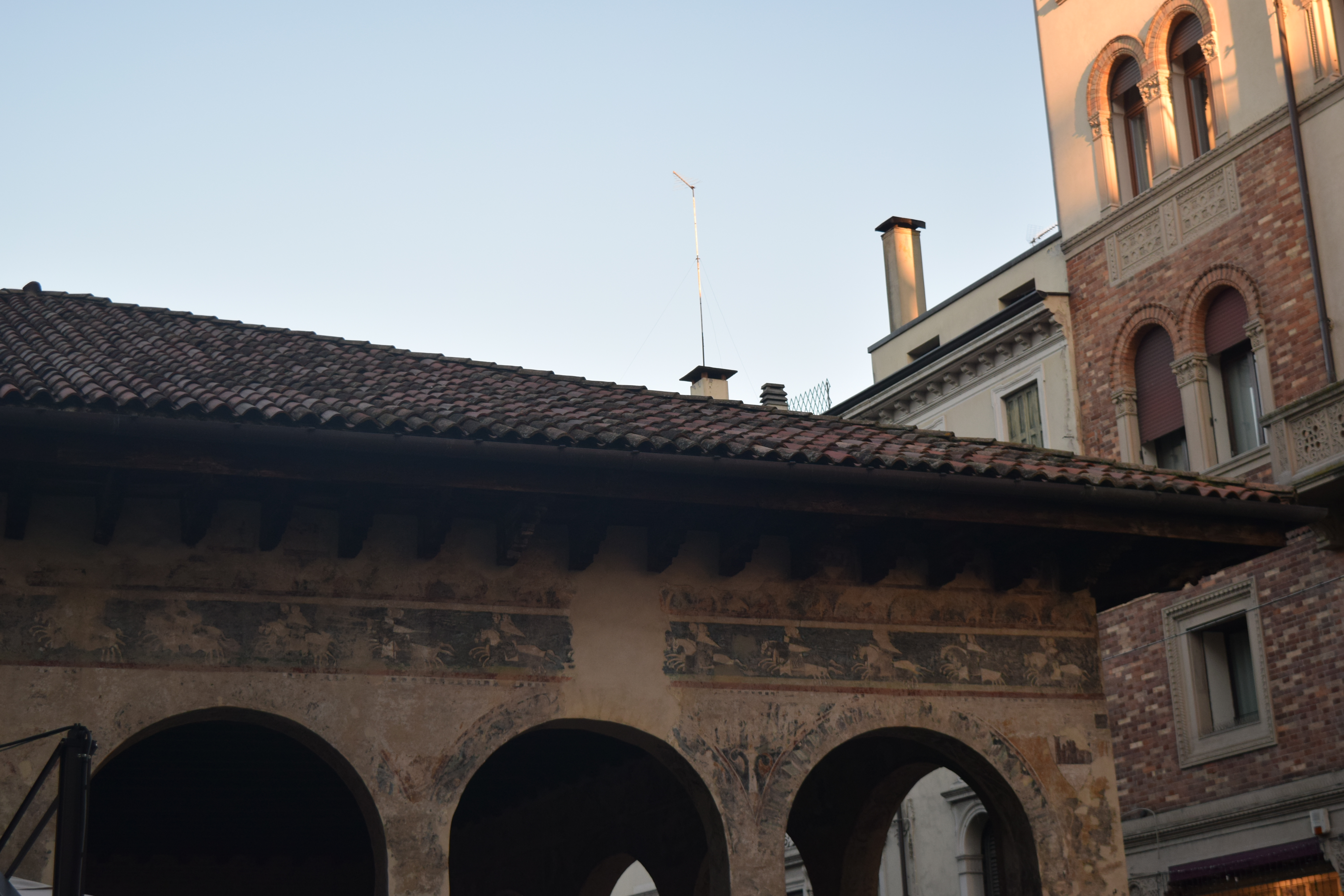 These ones have been here since Medieval times!