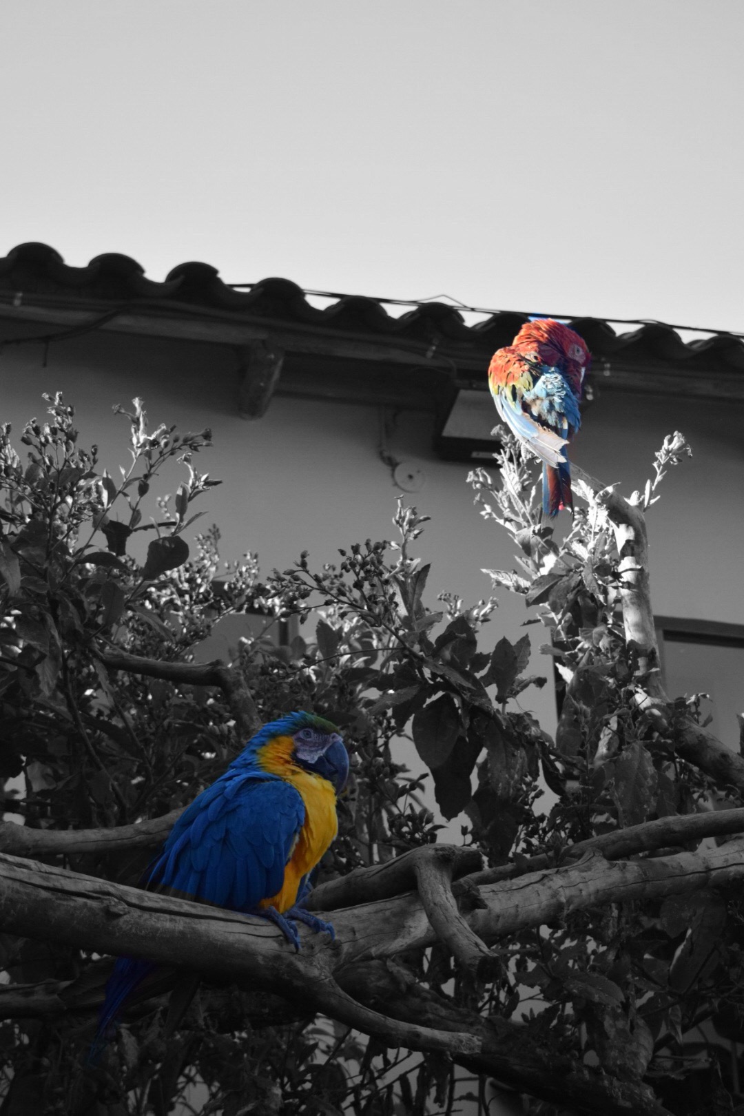 6C308D7C-AEAC-40CE-978E-CE9D07ECF020