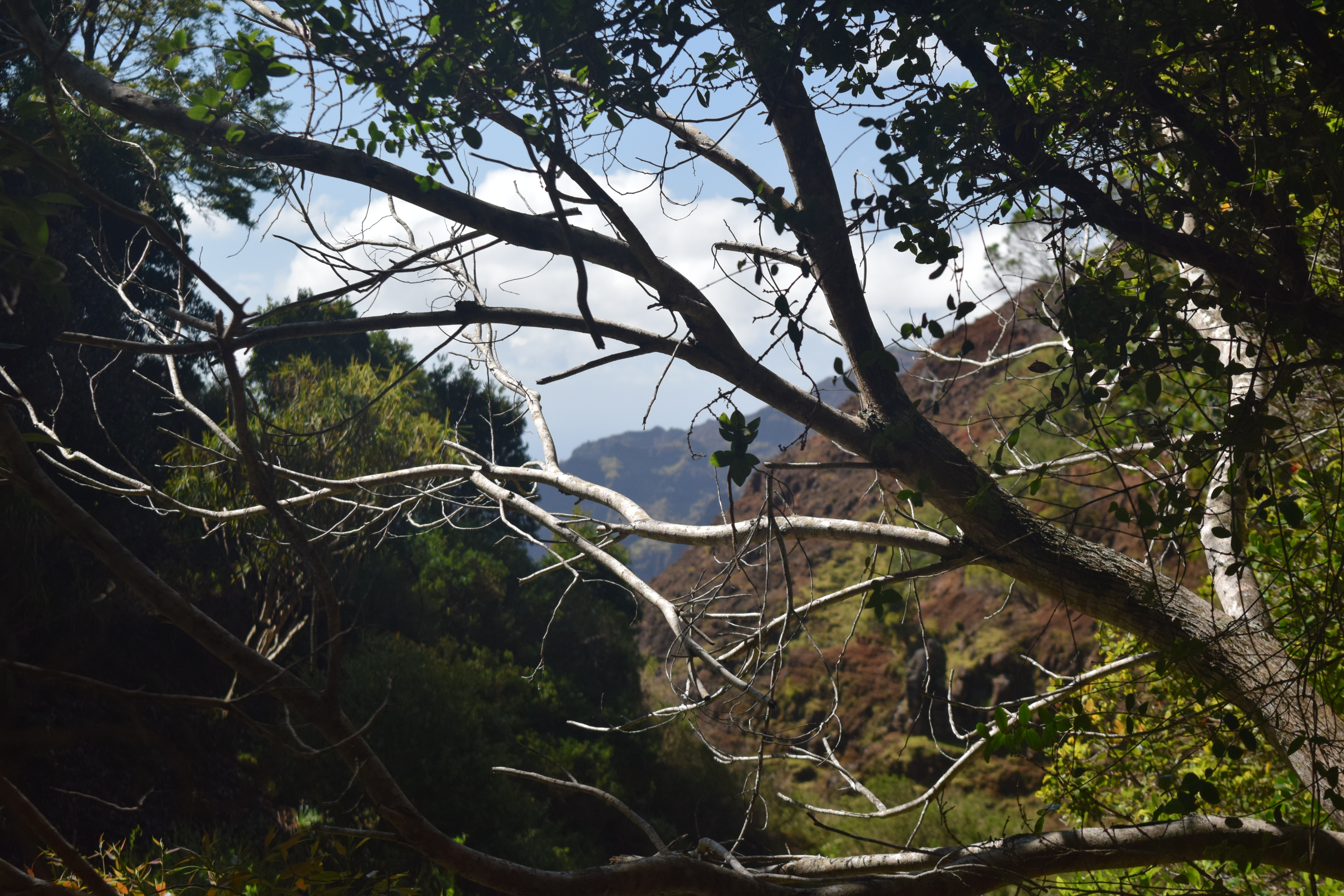 Views from the trail