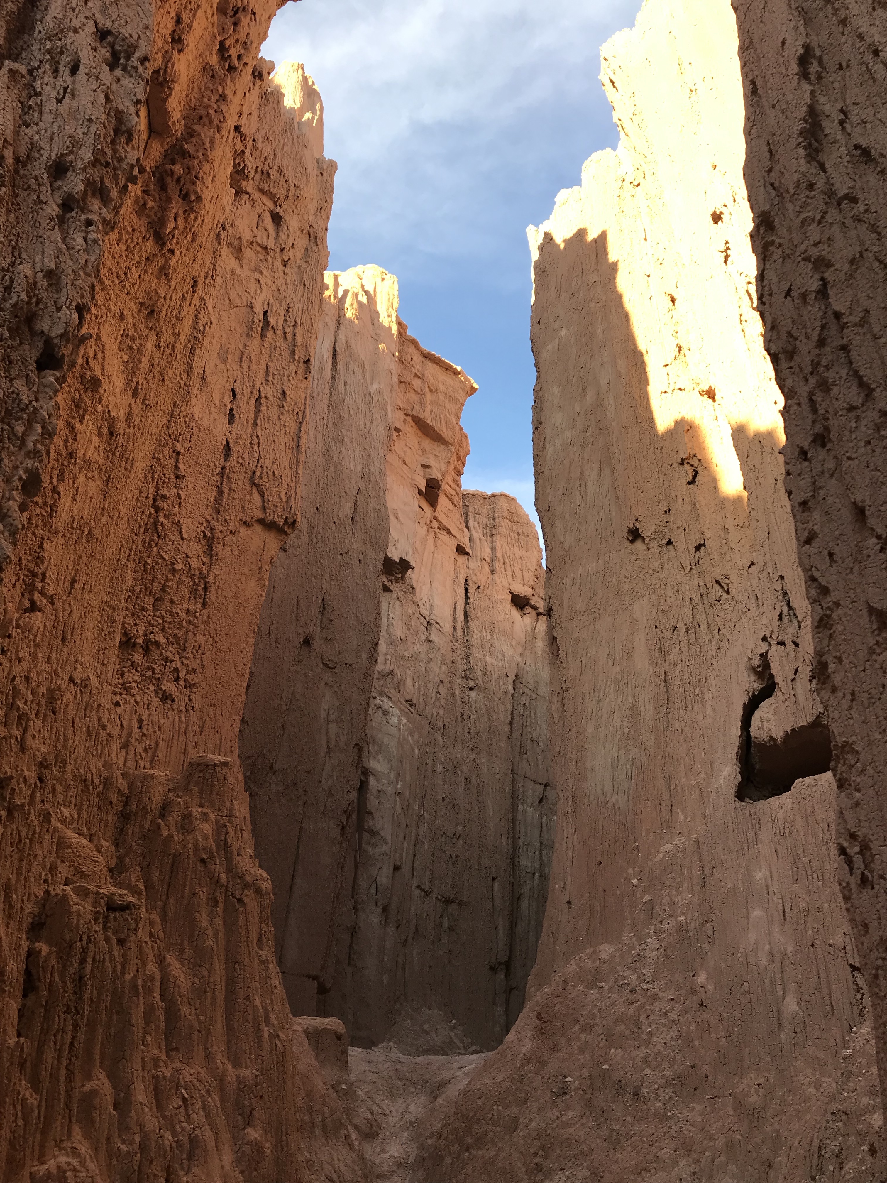 Inside some of the trails