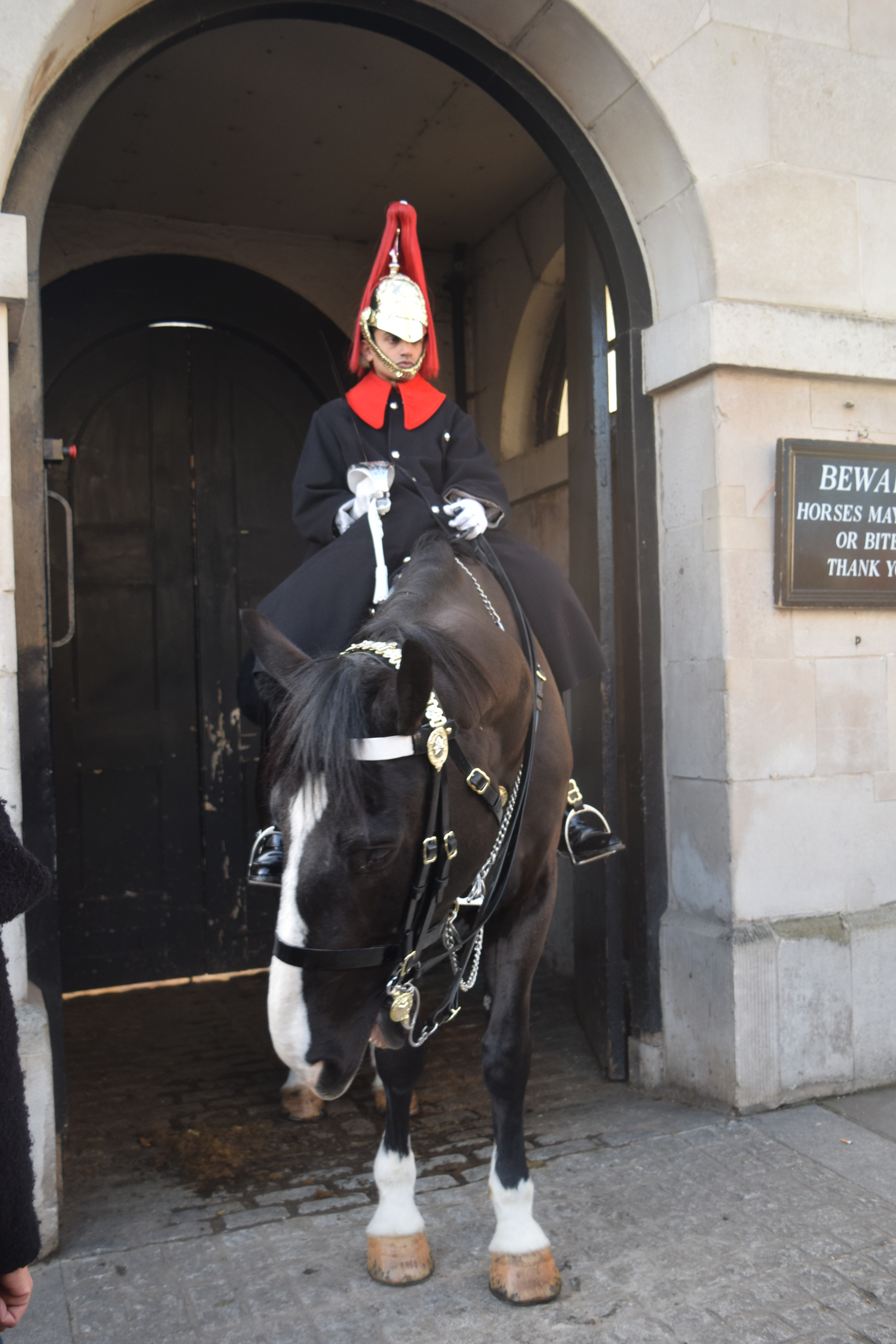 One of the Horse Guards