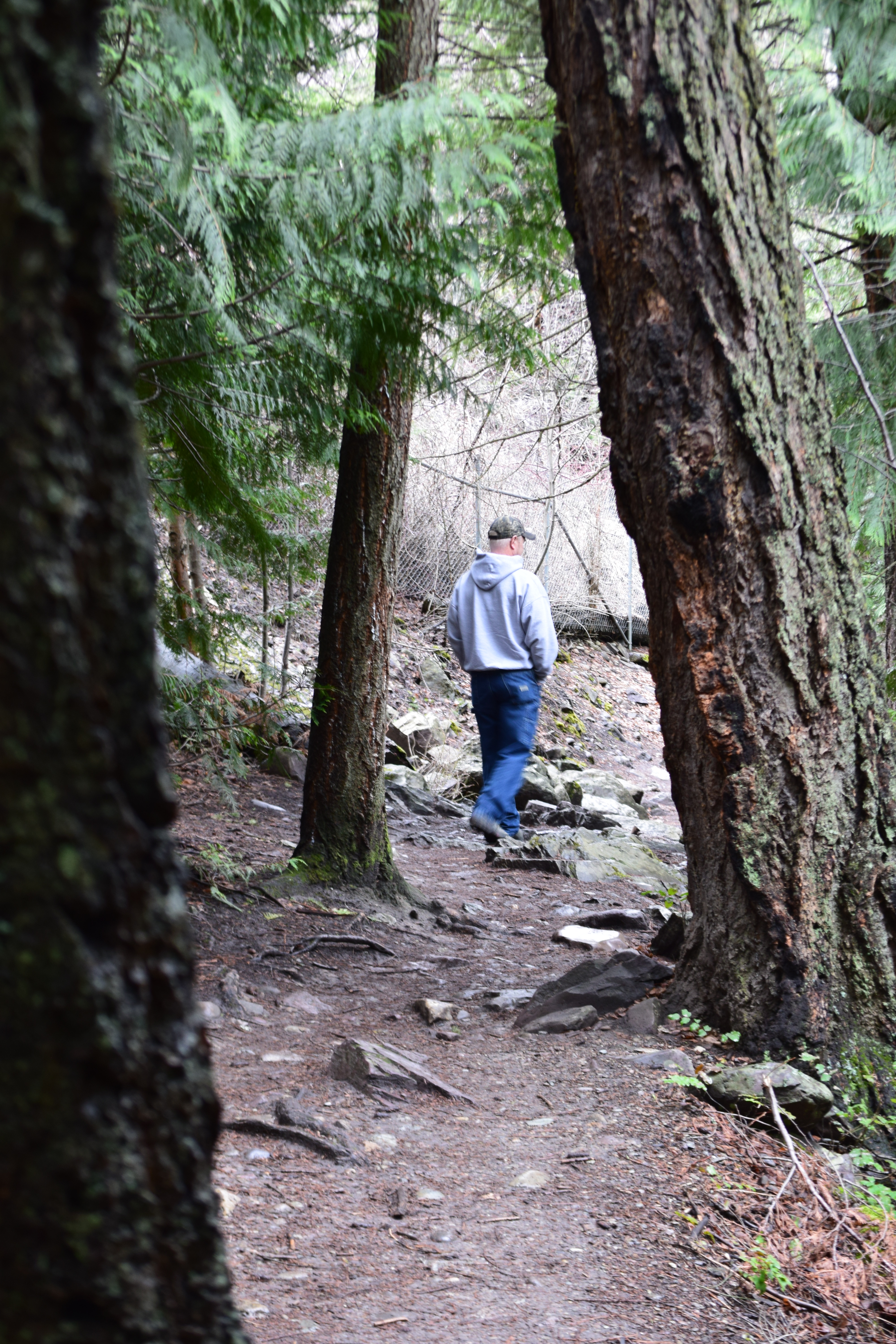 The trail to the bridge