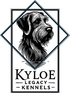 KLK_Logo_Transparent_240812_edited.jpg