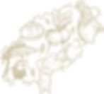 mapa savida sin fondo.webp