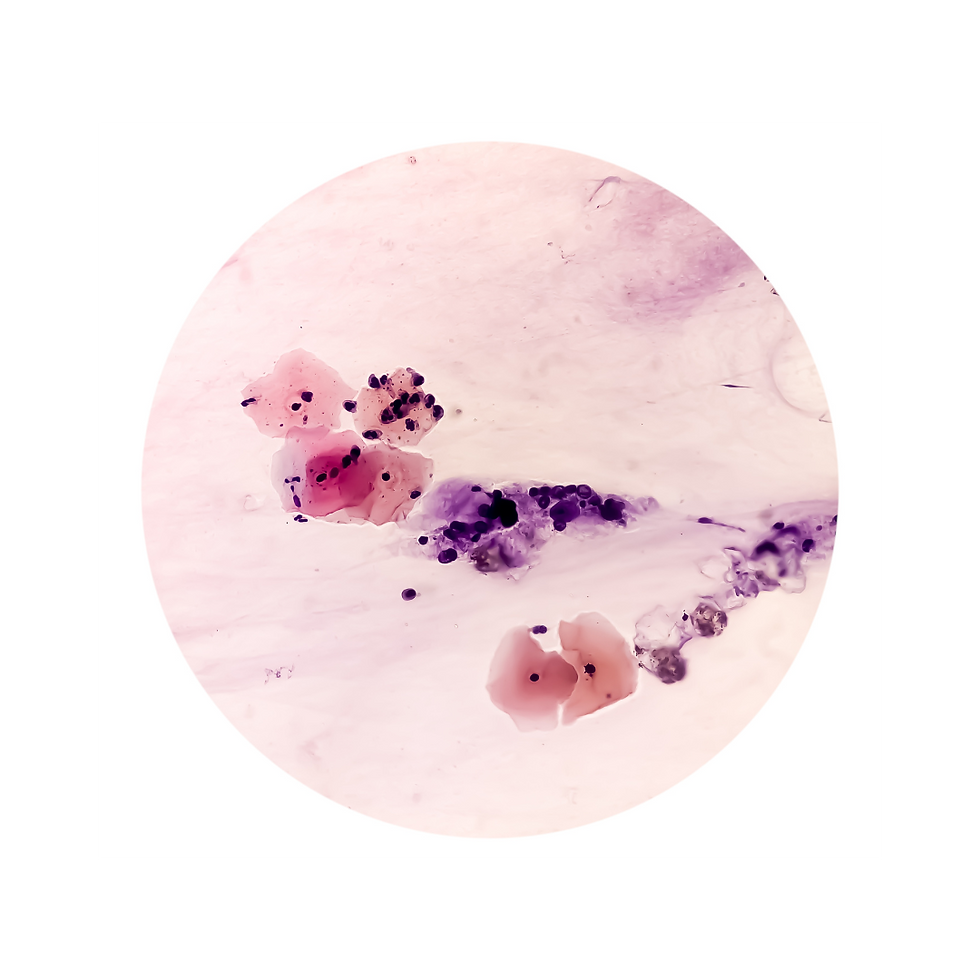 Microscopia vaginal