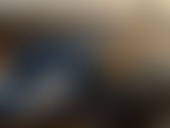 The Good Enough Fence