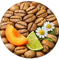 WhatsApp Image 2026-01-06 at 20_edited.png