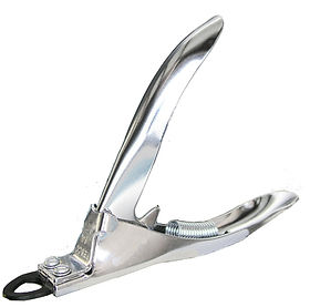 pet nail clippers near me