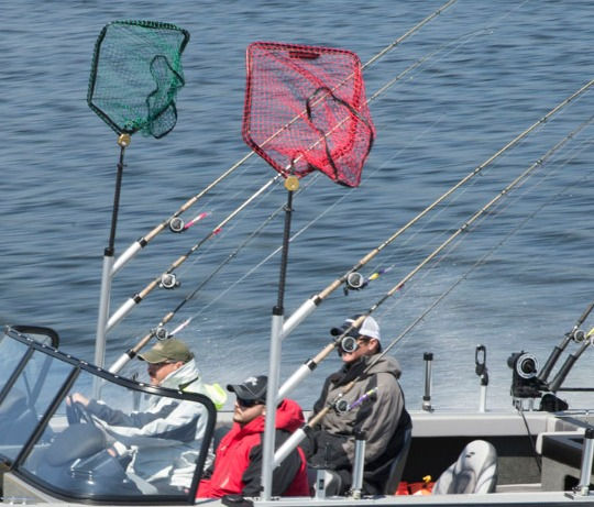 Thumbnail: Bert's Custom Tackle 3 Rod Holder Tree