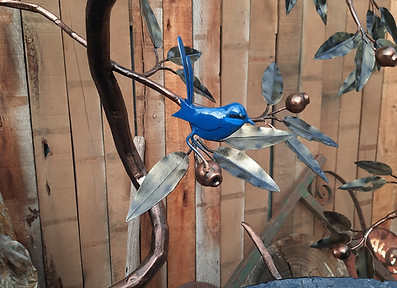 GL001-04_wren close 20260515.jpg