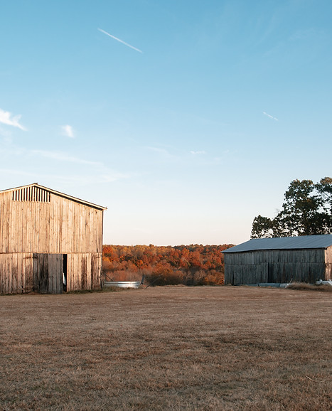 2 Barns with a scenic fall backdrop of trees
