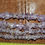 Thumbnail: AMETHYST BEADS BEAUTIFUL per strand