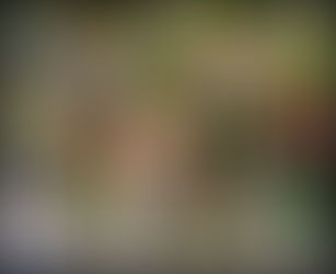 Best Spots for Senior Photos at Inniswood Metro Gardens