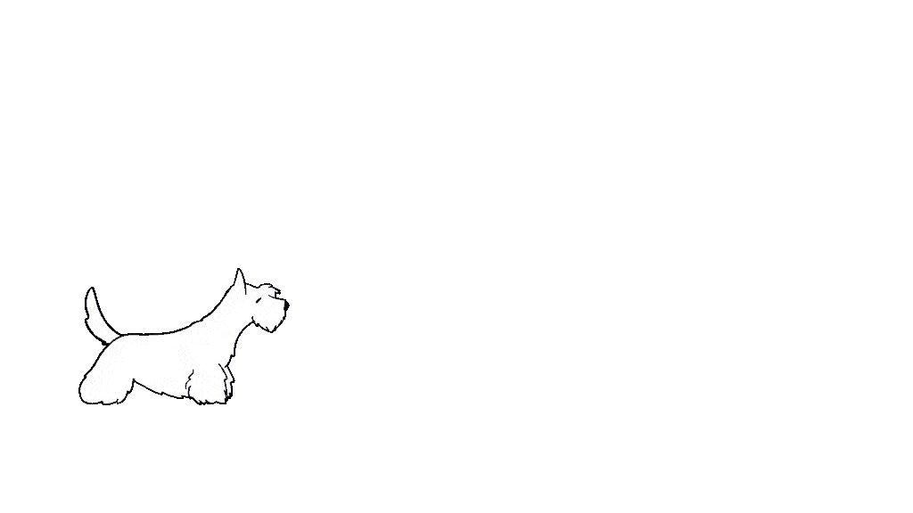 Animation 1 - 2022-12-08 14-11-38.gif