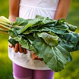 Child Holding Fresh Produce