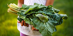 Child Holding Fresh Produce