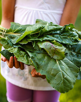 Child Holding Fresh Produce