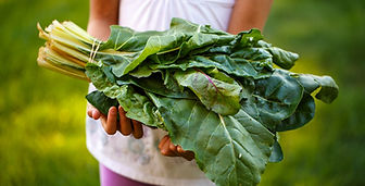 Child Holding Fresh Produce