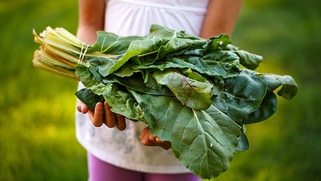 Child Holding Fresh Produce