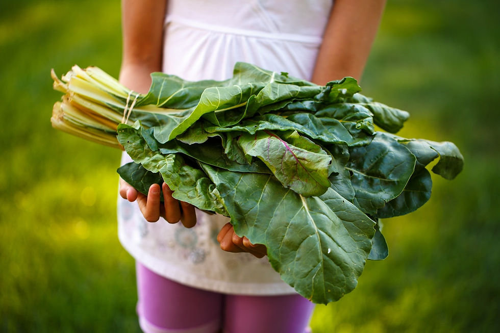 Fresh Greens Held
