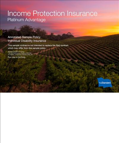 sunset at a caifornia vineyard