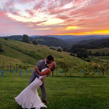 Home Villanovevineyards