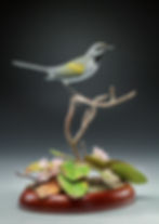 Golden-winged Warbler w/ Arbutus