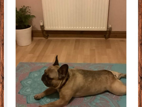 Agility - dictionary definition: the ability to move your body quickly and easily.