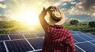 Placas na Zona Rural.webp