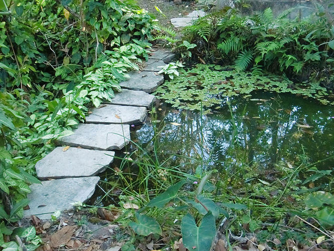 chales_entorno_5.jpg
