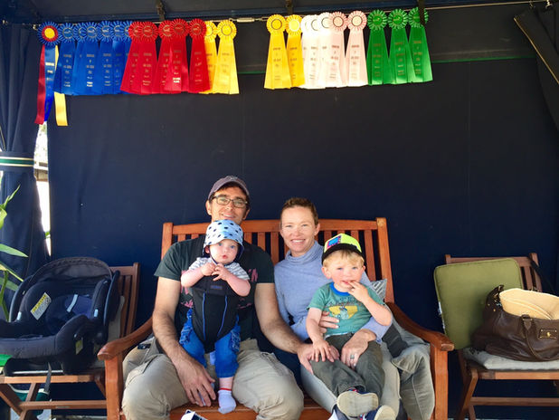 Show jumping Competition with family