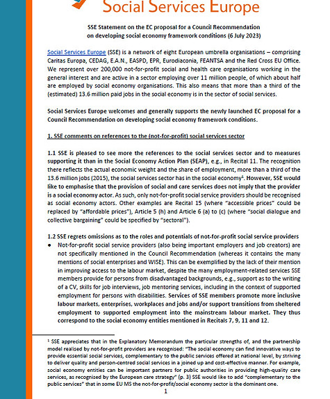 sse statement social economy framework_e