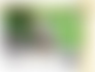 写真展 竹澤 学 「となりのきつねさん」