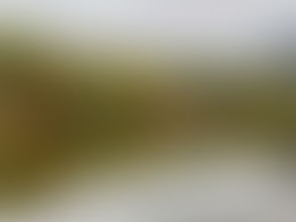 明日(10/20)は営業いたします。