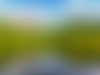 5/27(土)朝の鏡池