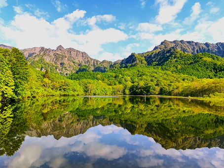 5/27(土)朝の鏡池