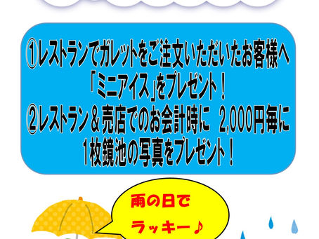 雨の日サービス 実施中