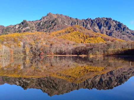 11/3,5,6に予定していたシャトルバス運行および鏡池周辺の交通規制は中止になりました。