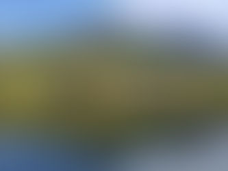 5/16(火)晴れ☀ 今朝の鏡池