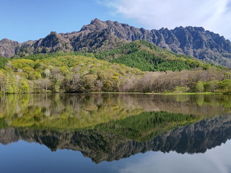 5/16(火)晴れ☀ 今朝の鏡池